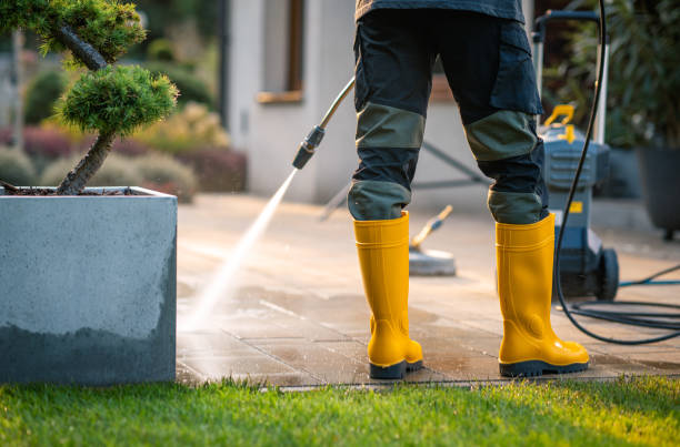 Best Residential Pressure Washing Services  in Perrysburg, OH